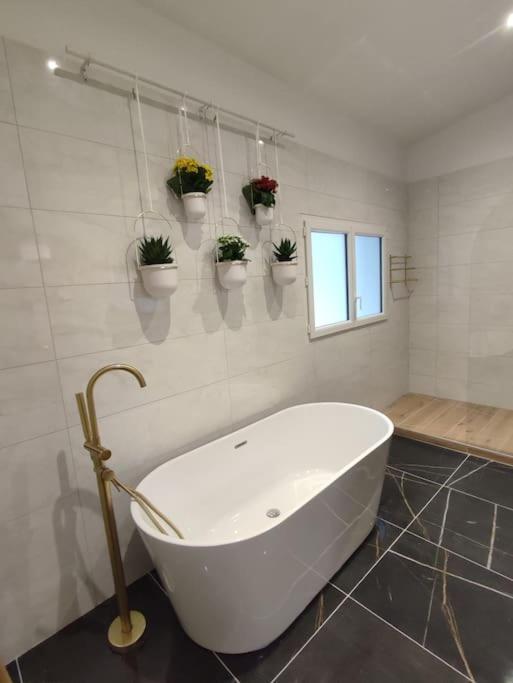 Appartement Le Secret 140M2, Proche Sanctuaires, Climatise Lourdes Exterior photo